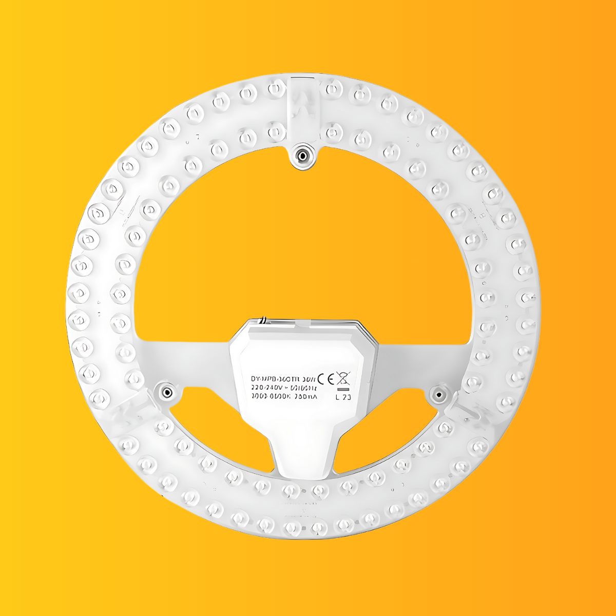 Ceiling Lights & Modules