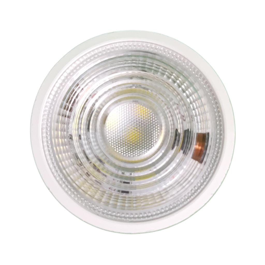 Dycorra LED MR16 Spotlight 12V 240V Bulb 7W Day Warm